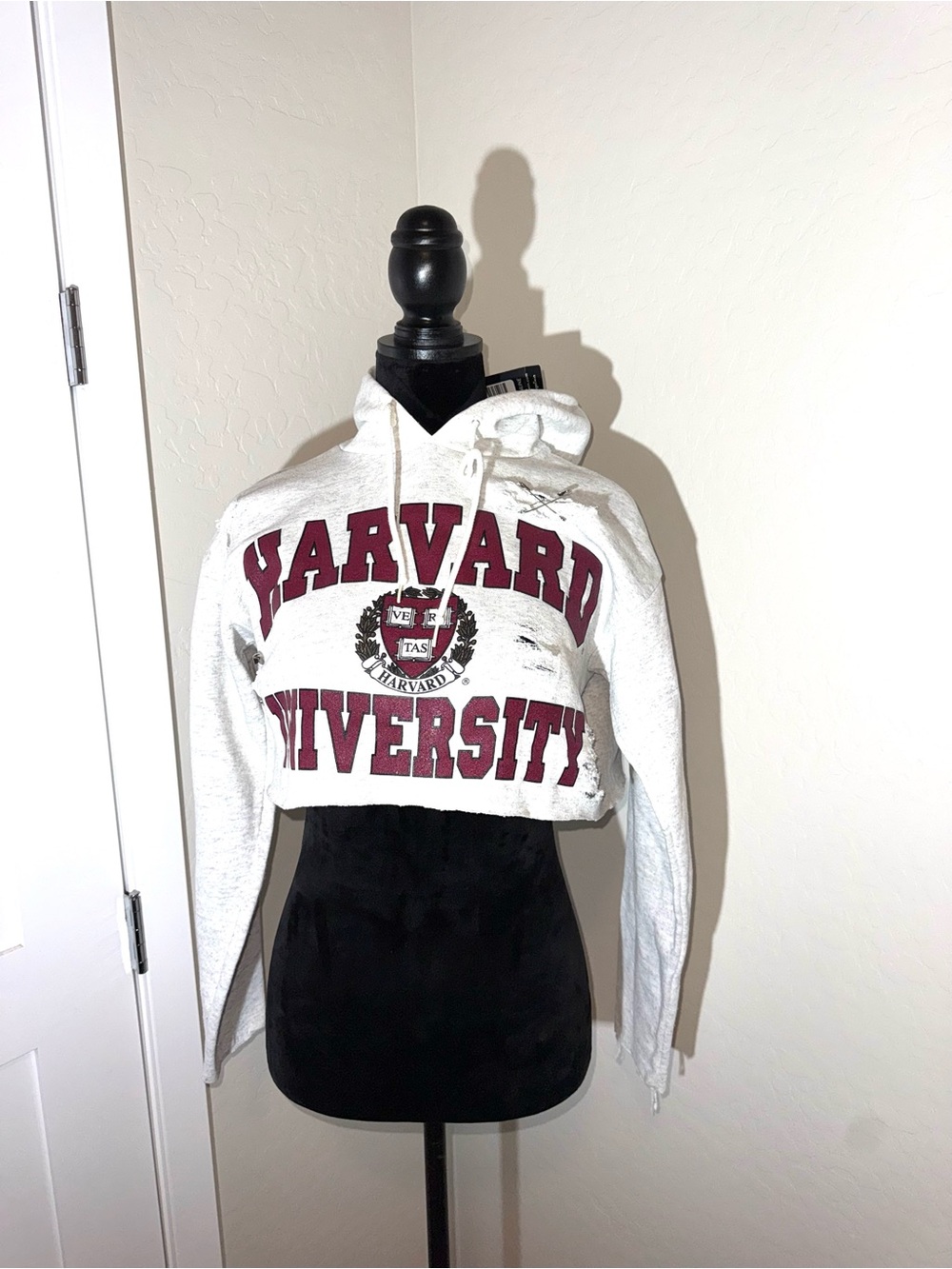 The Vintage Twin Reworked Hoodie
